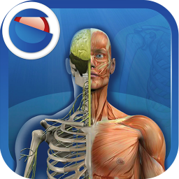 دانلود The Human Body