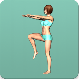 دانلود Aerobics workout at home