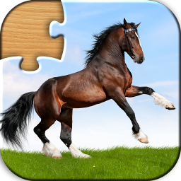 دانلود Animal Puzzles for Kids