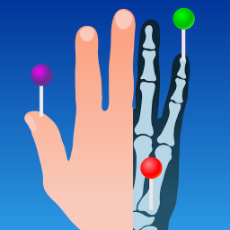 دانلود IMAIOS e-Anatomy