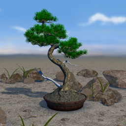 دانلود Bonsai 3D Live Wallpaper دانلود Bonsai 3D Live Wallpaper