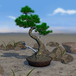 دانلود Bonsai 3D Live Wallpaper