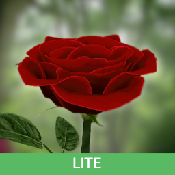 دانلود 3D Rose Live Wallpaper Lite