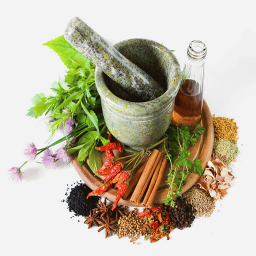 داروخانه گیاهان دارویی