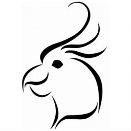 عروس هلندی