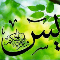 سوره یاسین(ویژه)