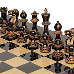 آموزش حرفه ای شطرنج
