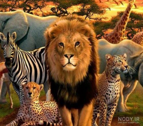 دانلود صدای حیوانات وحش