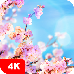 دانلود Spring Wallpapers 4K