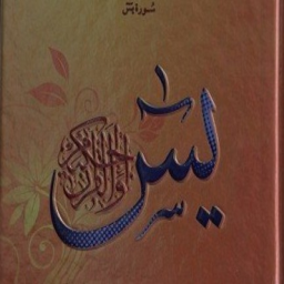 فضیلت و خواص سوره یس