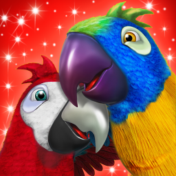 دانلود Talking Parrot Couple دانلود Talking Parrot Couple