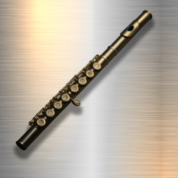 دانلود Professional Flute