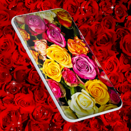 دانلود Red Rose Live Wallpaper