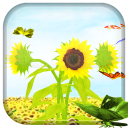 Sunflower 3D LiveWallpaper