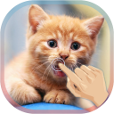Magic Touch Cat Live WallPaper