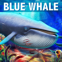 Blue Whale Simulator - Game