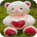 Cute Teddy Bear wallpaper