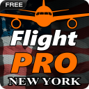 Pro Flight Simulator 2 - New York
