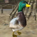 Real Duck Simulator