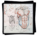 Drawing Tutorial Human Body