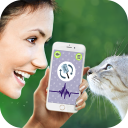 Cat Language Translator Simulator - Talk to Pet