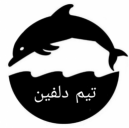 تیم دلفین