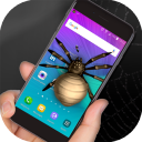 Spider in phone prank