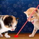 Laser Pointer for Cat