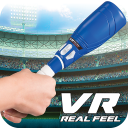 VR Real Feel Baseball