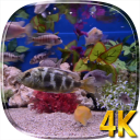 Aquarium 4K Live Wallpaper