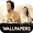 Wallpapers with Horses in 4K