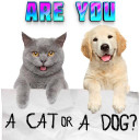 Test what cat or dog am I? Animal simulator