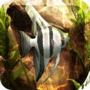 HD Aquarium Live Wallpaper 3D