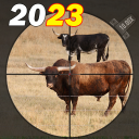 Animal Shooting : Wild Hunting