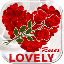 Lovely Roses