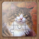 Cat Puzzle Games Free