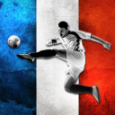 ⚽️🏆 FRENCH FOOTBALL LEAGUE (FRANCE FOOTBALL)