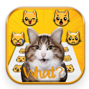 Crazy Cats Emoji Stickers