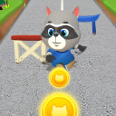 Raccoon Fun Run: Running Games