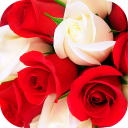 Roses Stickers for WhatsApp WAStickerApps Flowers