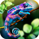 Chameleon Wild Life Sim 3D