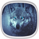 Wolf Wallpapers: Cool Animal Backgrounds Free