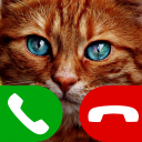 fake call cat game