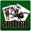 Classic Spider Solitaire Game