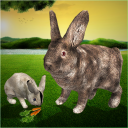 Ultimate Rabbit Simulator Game