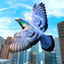 Wild Pigeon Bird City Simulator