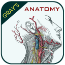 Gray's Anatomy - Anatomy Atlas