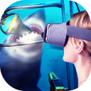 Collection of VR Videos