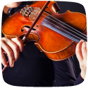 Violin Lessons Guide