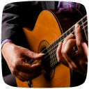 Fingerstyle Guitar Guide